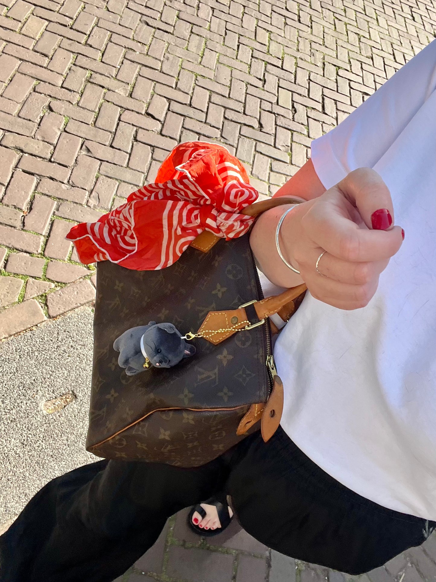 Louis Vuitton Speedy 30